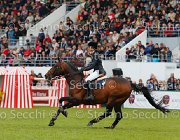 AMILIBIA NOTRE STAR LaBaule2013- S5 8601 : 2013, AMILIBIA PAOLA, La Baule, NOTRE STAR DE LA NUTRIA, foto di Stefano Secchi ©